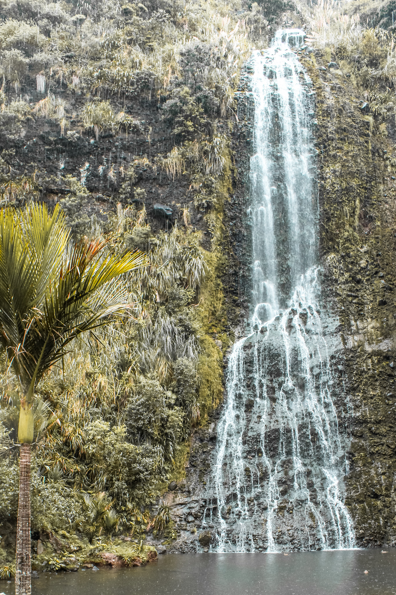 Karekare Falls Piha New Zealand Auckland