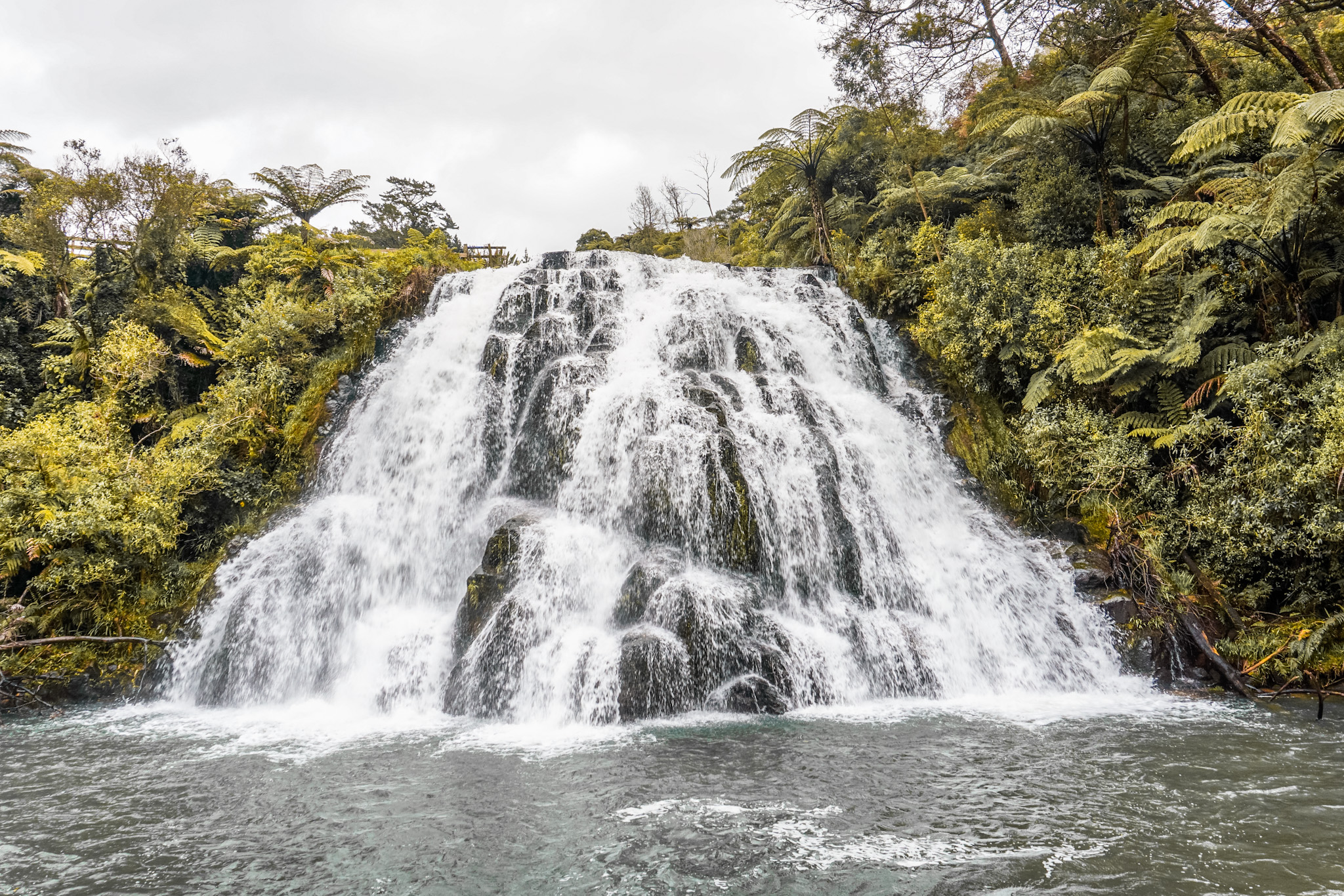 Owharoa Falls Coromandel New Zealand 