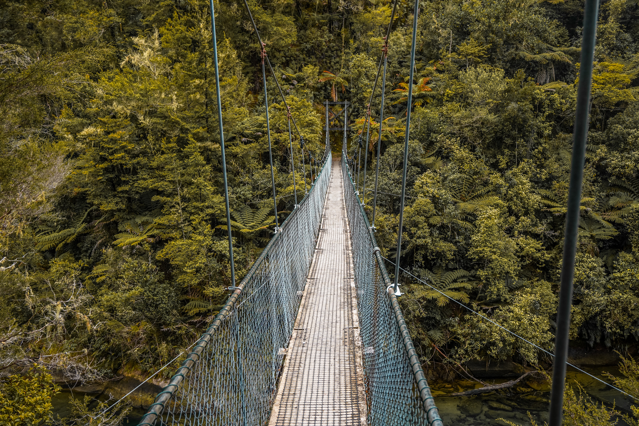 Swing Bridge Abel Tasman National Park New Zealand