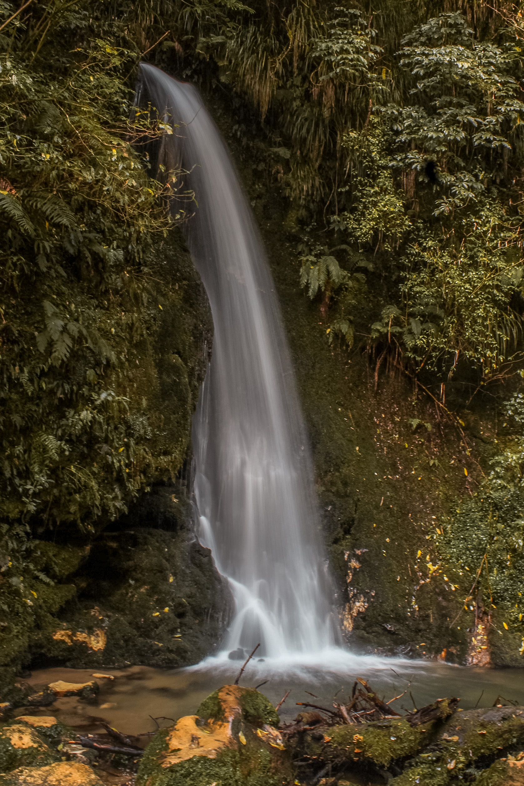  Waterfall Track McLaren Falls New Zeland Bay of Plenty Tauranga New Zealand