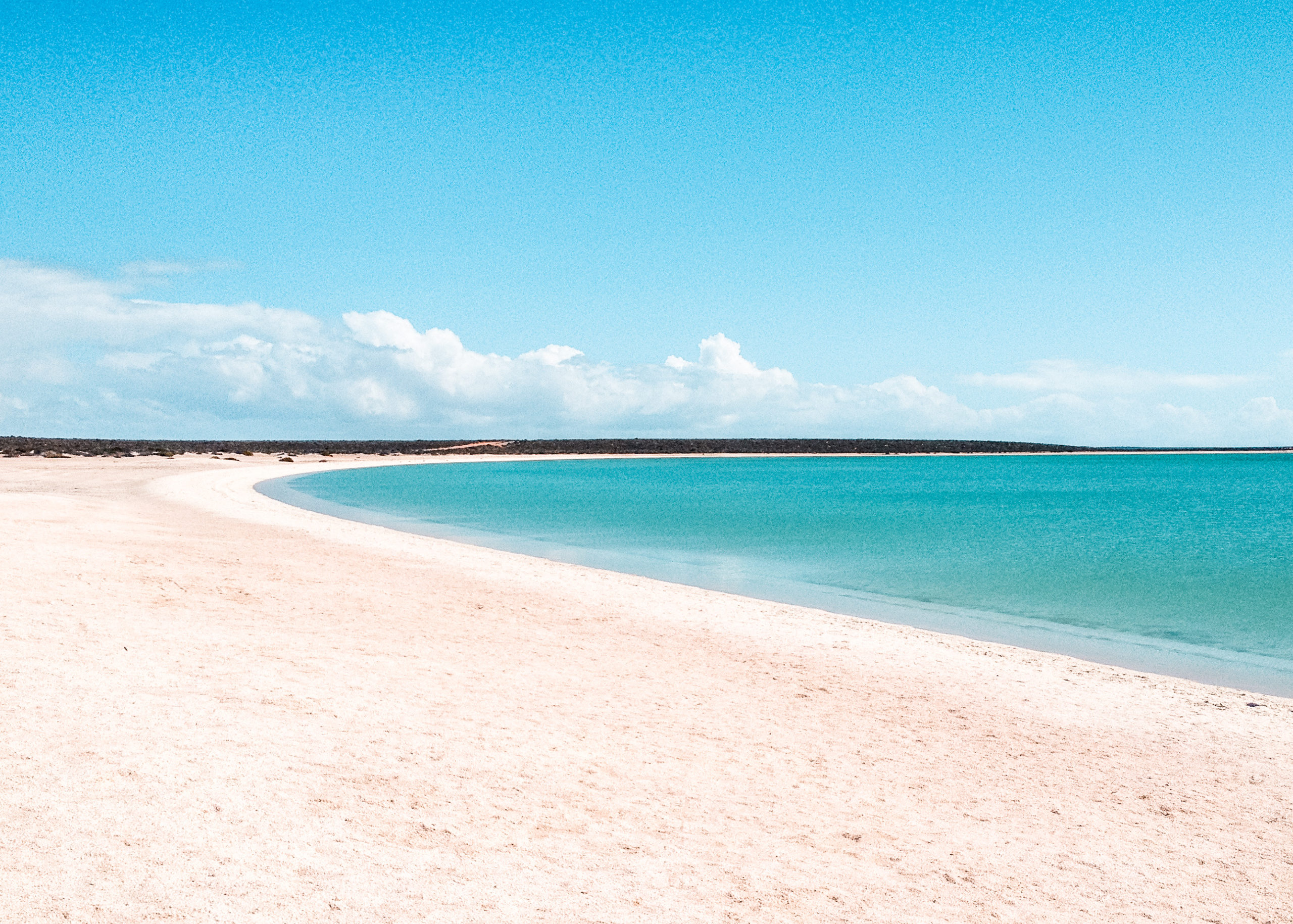 shell beach western australia