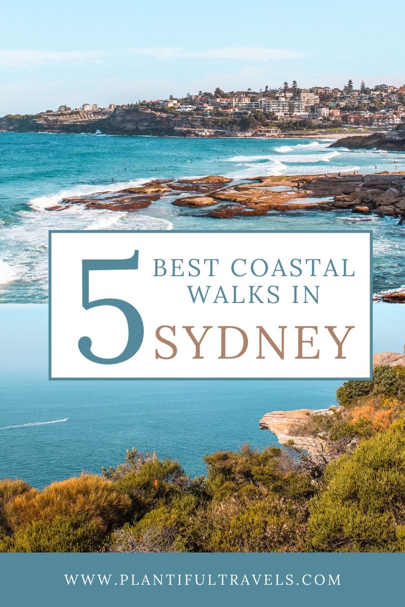 Sydney Top Coastal Walks Australia
